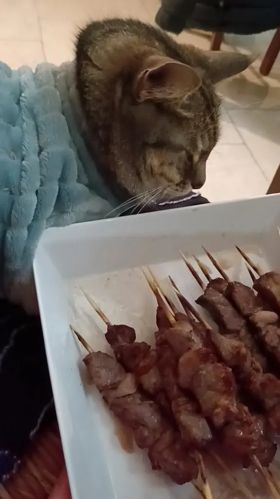 Gigia TravelCat_Margherita 3 Hosteria Arrosticini e braceria_Collecorvino_review