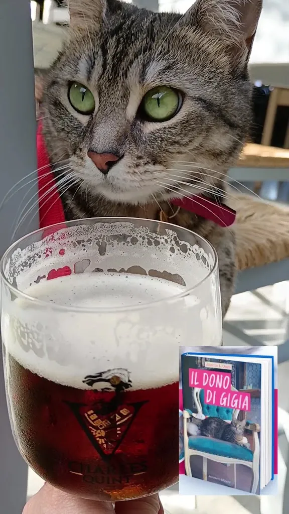 Gigia TravelCat_Pizzeria gourmet FEBA_Collecorvino_review