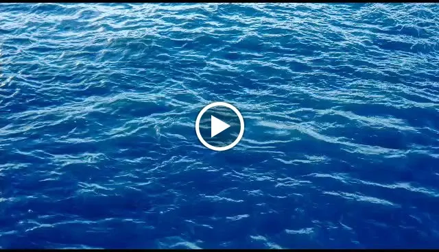 Ristorante Lido Azzurro Amantea_Amantea_slider_image_2