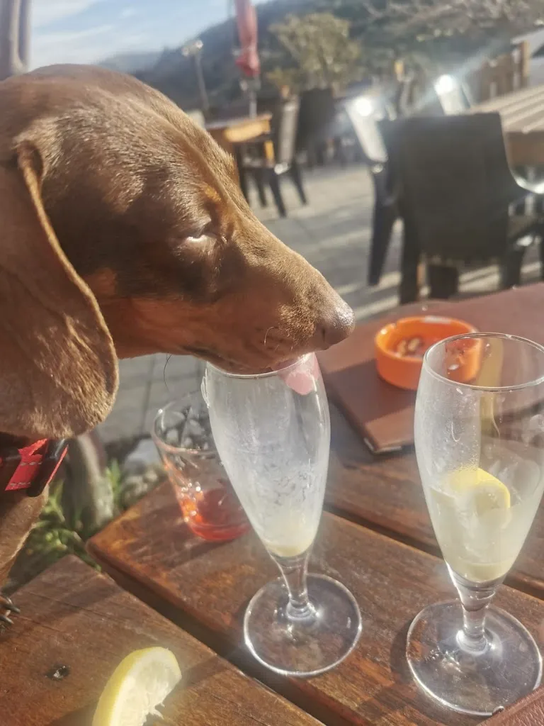 Lauren Cashman_La Cantinetta - Cucina tipica - Enoteca e pizza_Badolato_Bewertung