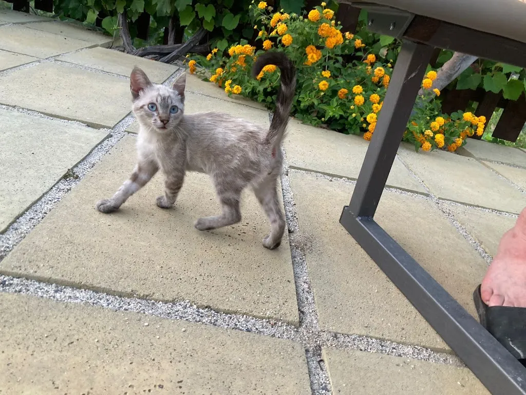 Michael Hume_Borgopizza_Badolato_review