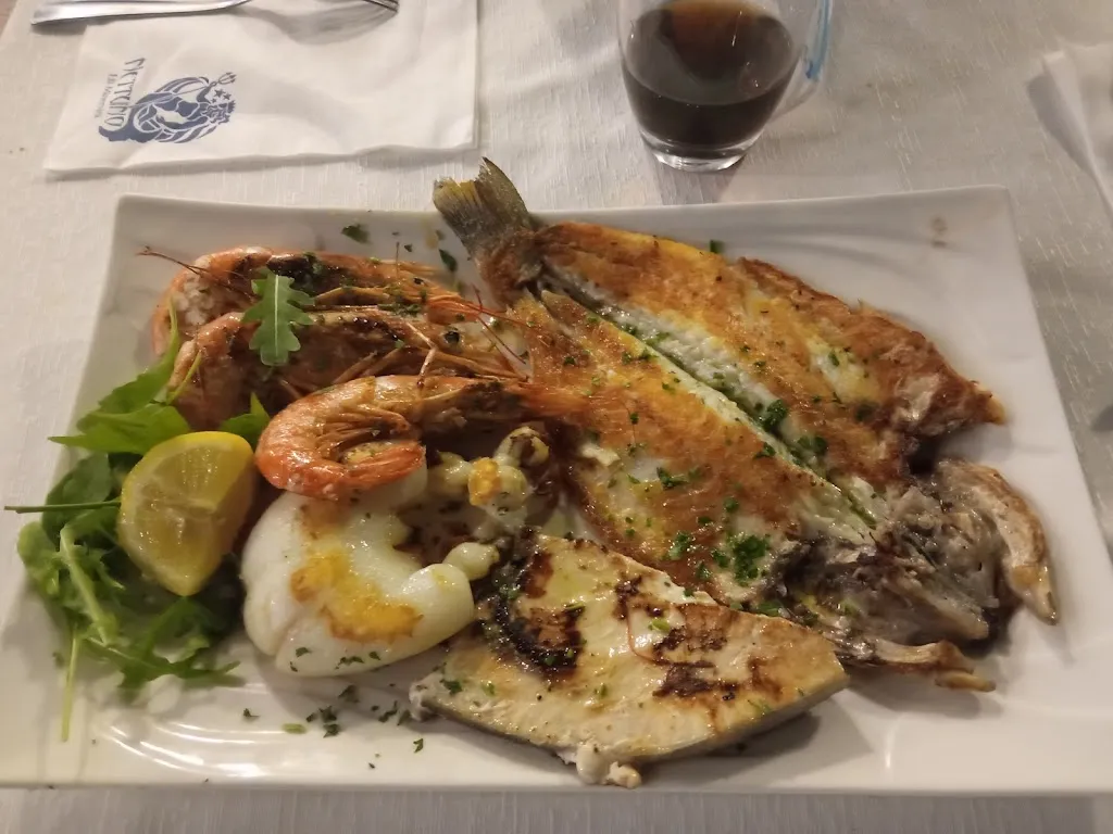 Sudip Chakraborty_Nettuno_Arcavacata_review