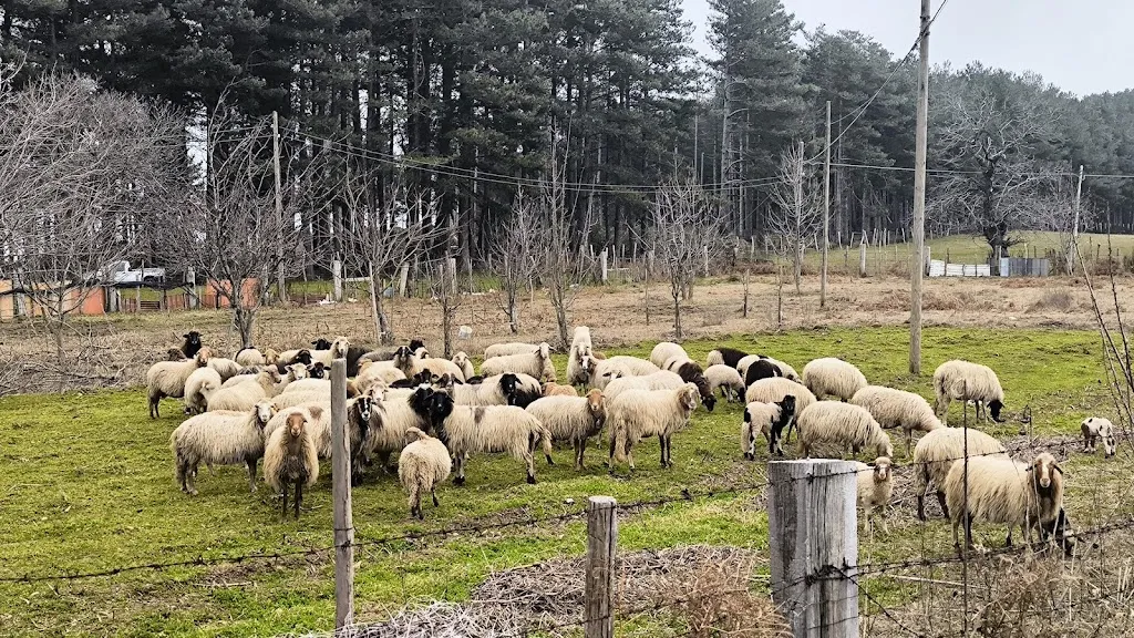 La Lanterna Paviglianiti_Bagaladi_slider_image_2