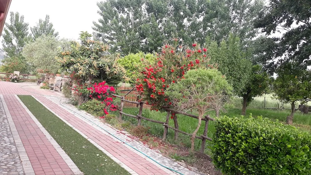 PODERE 22_Belvedere Spinello_slider_image_2