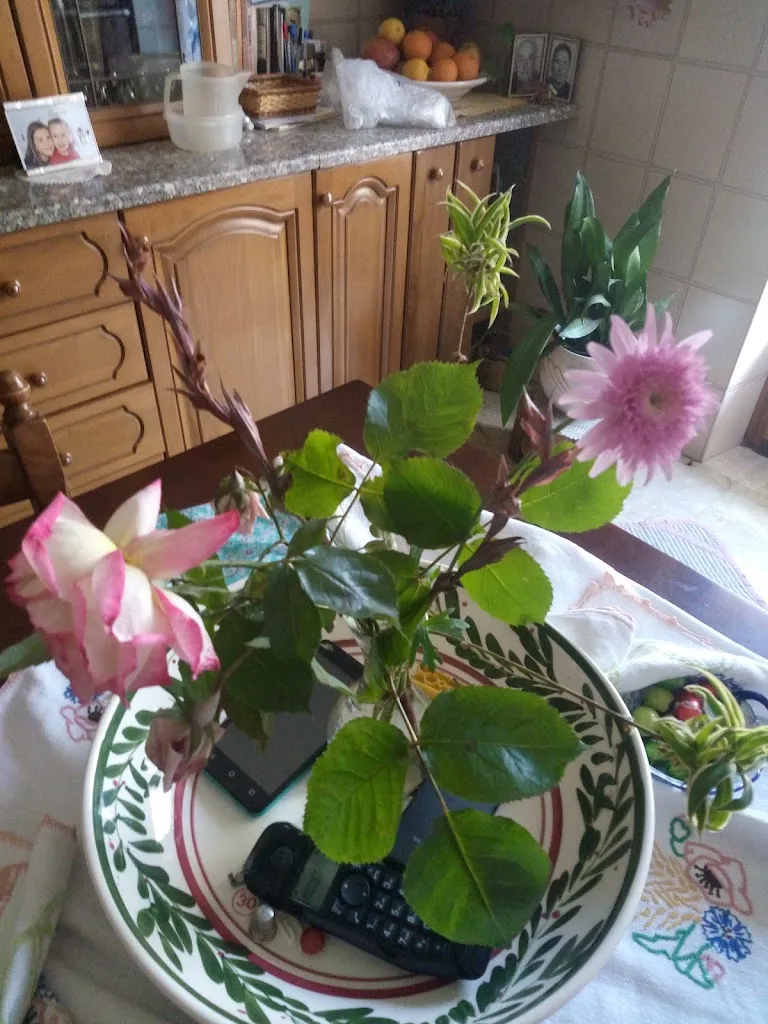 Menu_Bar Ristorante Mille Voglie_Bivongi_image_8