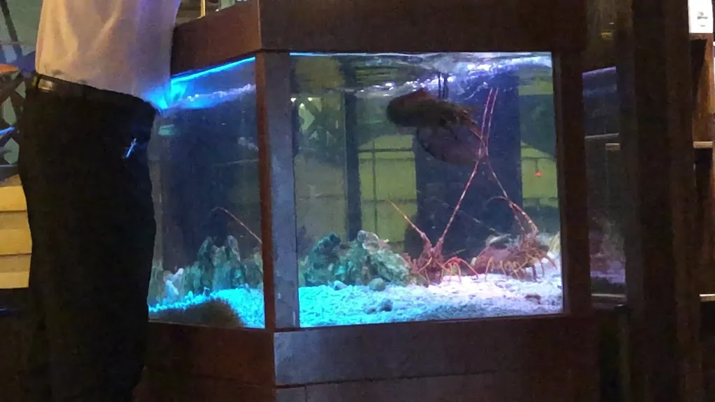 Calypso Ristorante Pizzeria_Belvedere Marittimo_slider_image_2