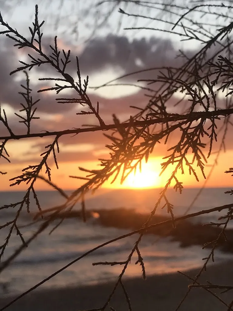 Christine Colver_Lido Azzurro_Belvedere Marittimo_review