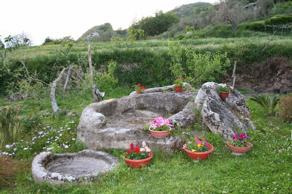 L'Antico Palmento_Belvedere Marittimo_slider_image_2