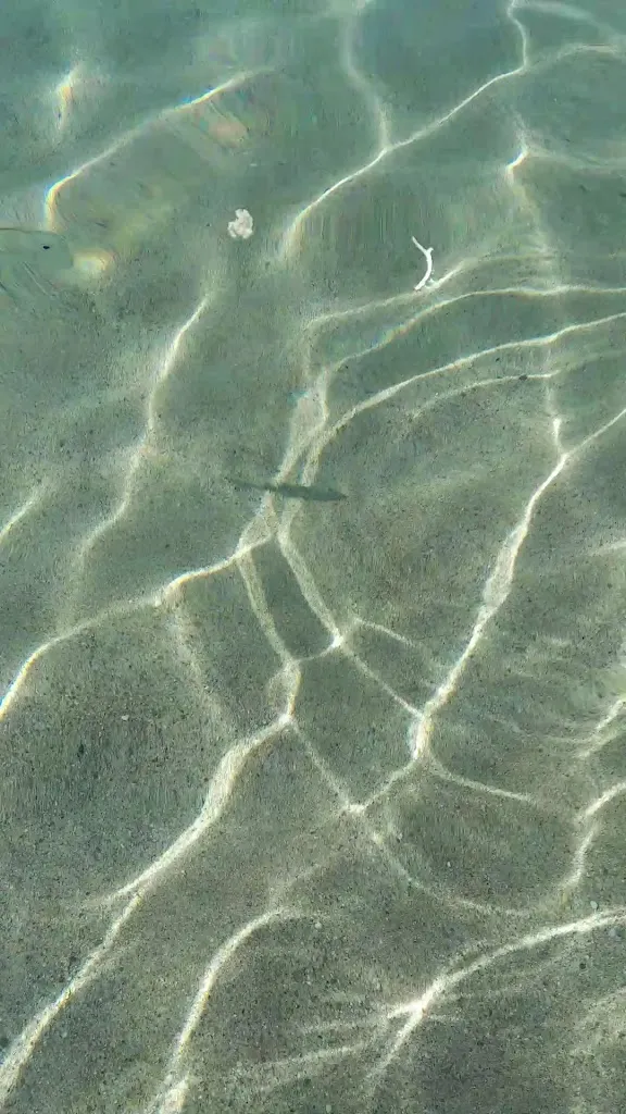 IL Gabbiano stabilimento balneare - bar ristorante pizzeria_Botricello_slider_image_2