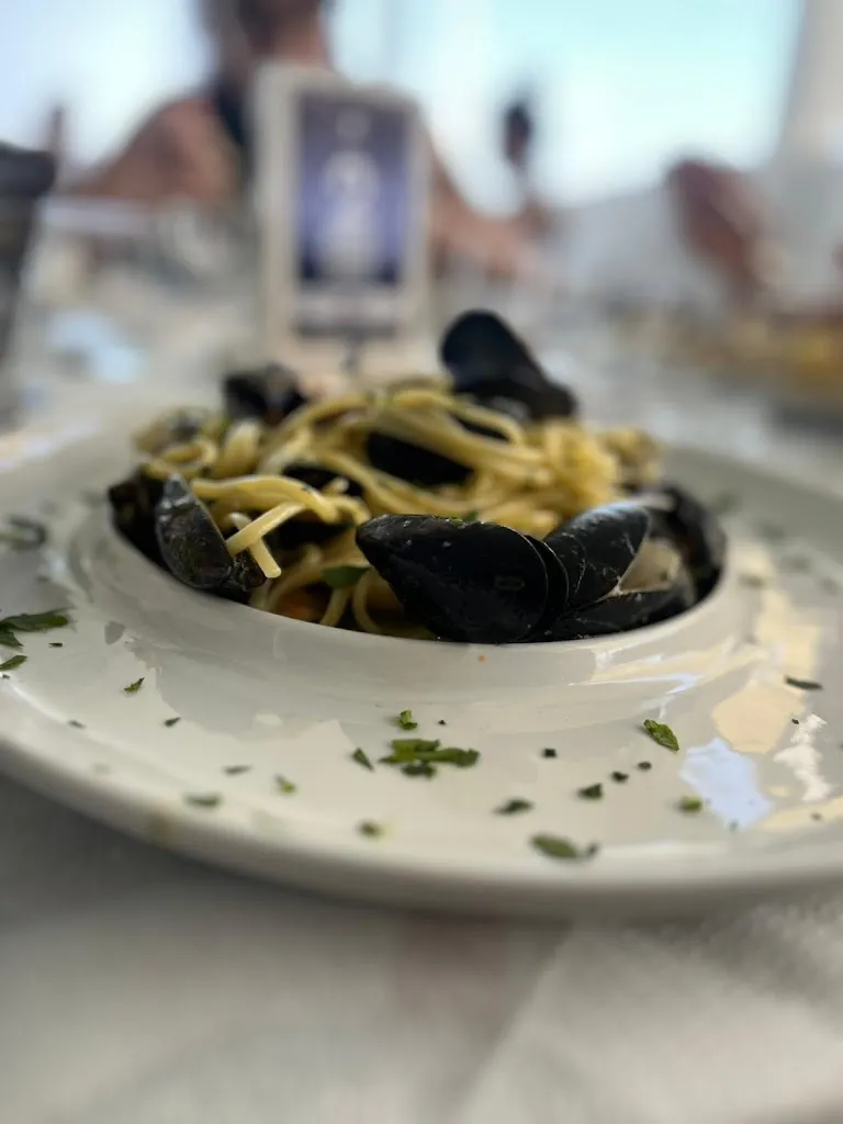 Abdelrahman Menisy_La Piovra di Franco Foglia_Botricello_review