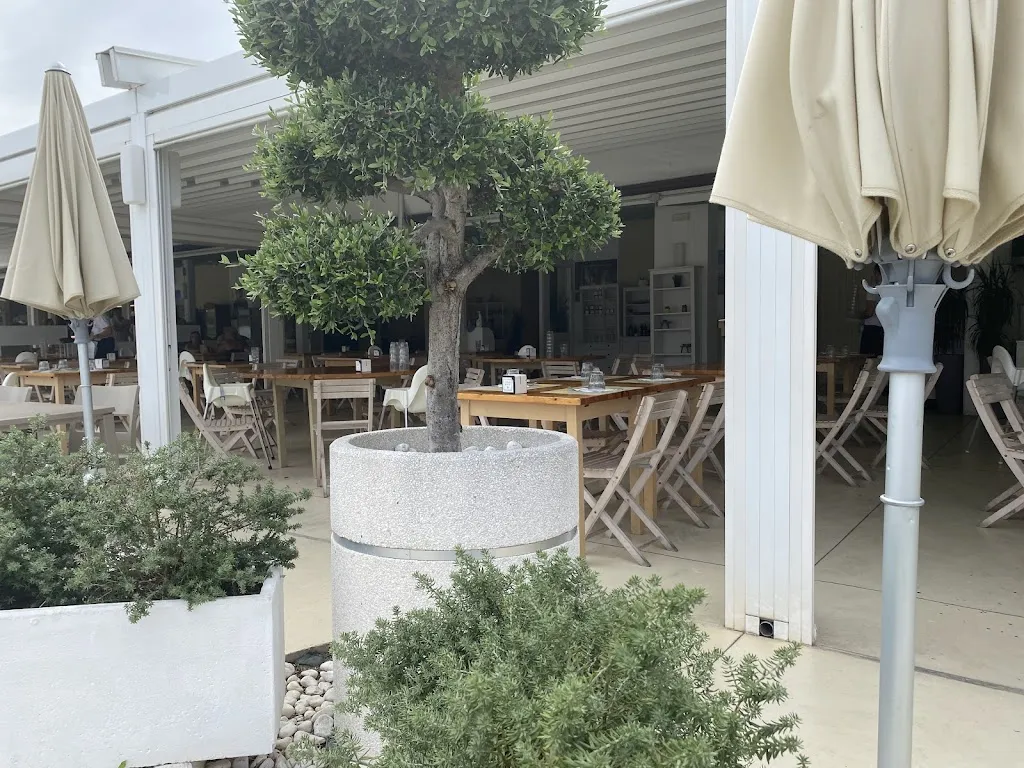 Andrea Calciolari_Restaurant Club del Sole_Cologna Spiaggia_review