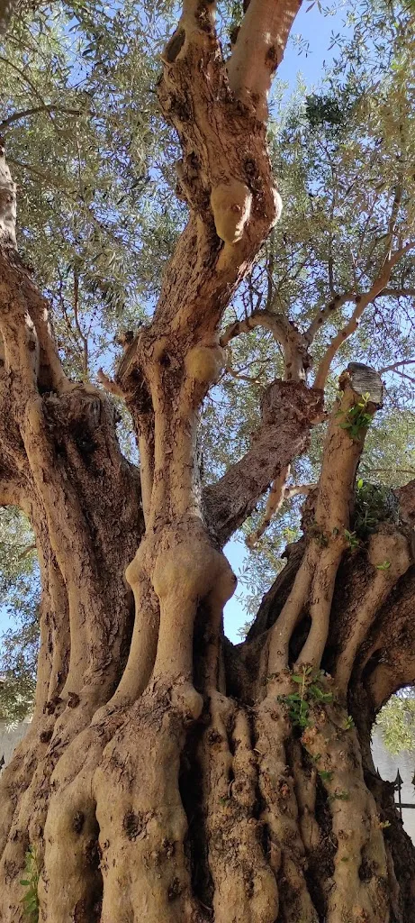 Peppe Macrì_Happy Hour_Bruzzano Zeffirio_review