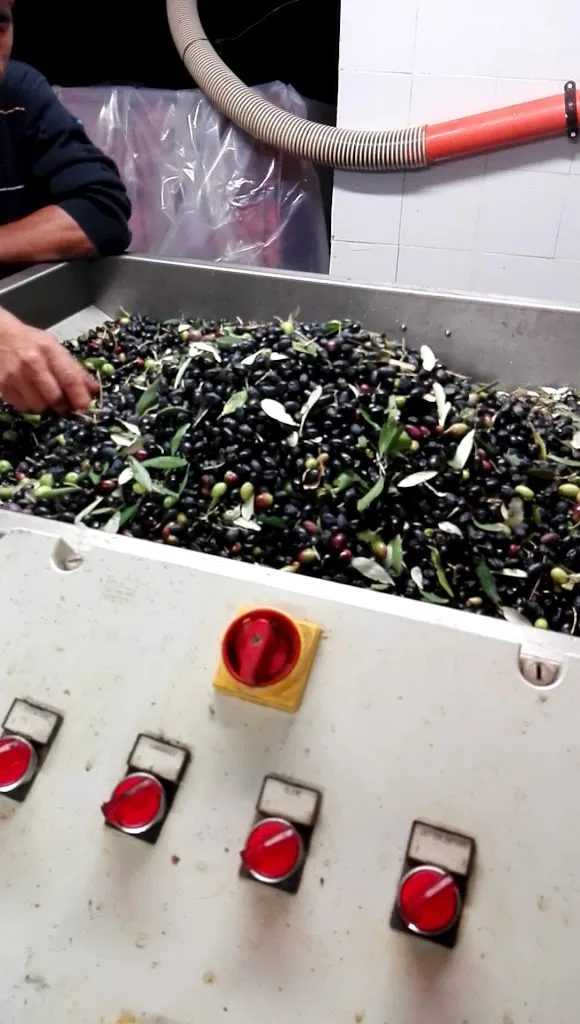 La Cantina Di Mimmo e Samanta_Bruzzano Zeffirio_slider_image_1