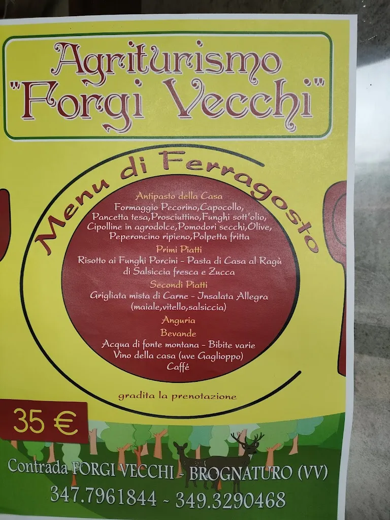 Menu_Agriturismo forgi vecchie_Brognaturo_image_1