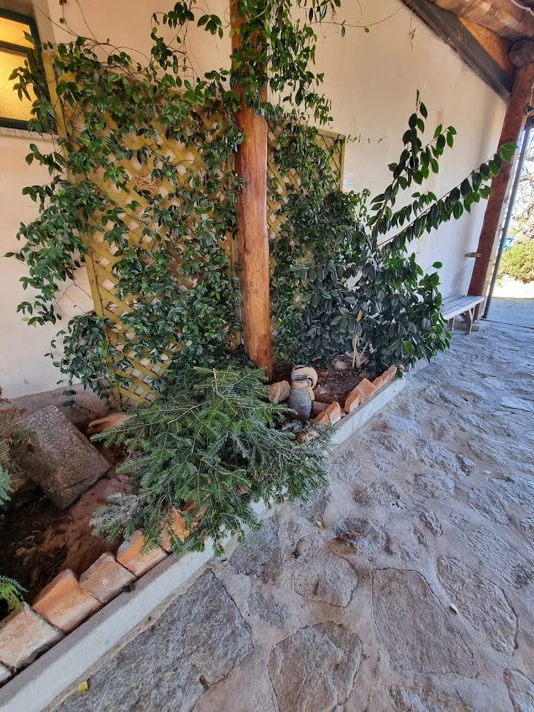 Francesco Garieri_Agriturismo forgi vecchie_Brognaturo_review