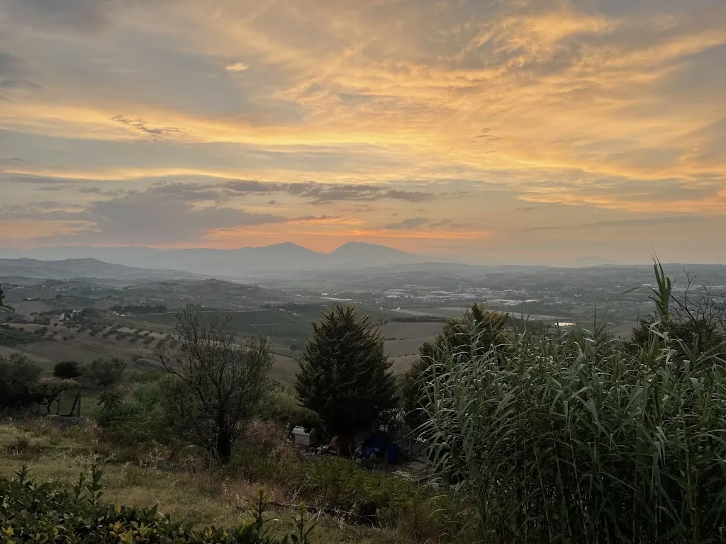 Damien Heavin_OSTERIA DALLA TIJELLA ALLA BRACE !_Cologna Spiaggia_recensione