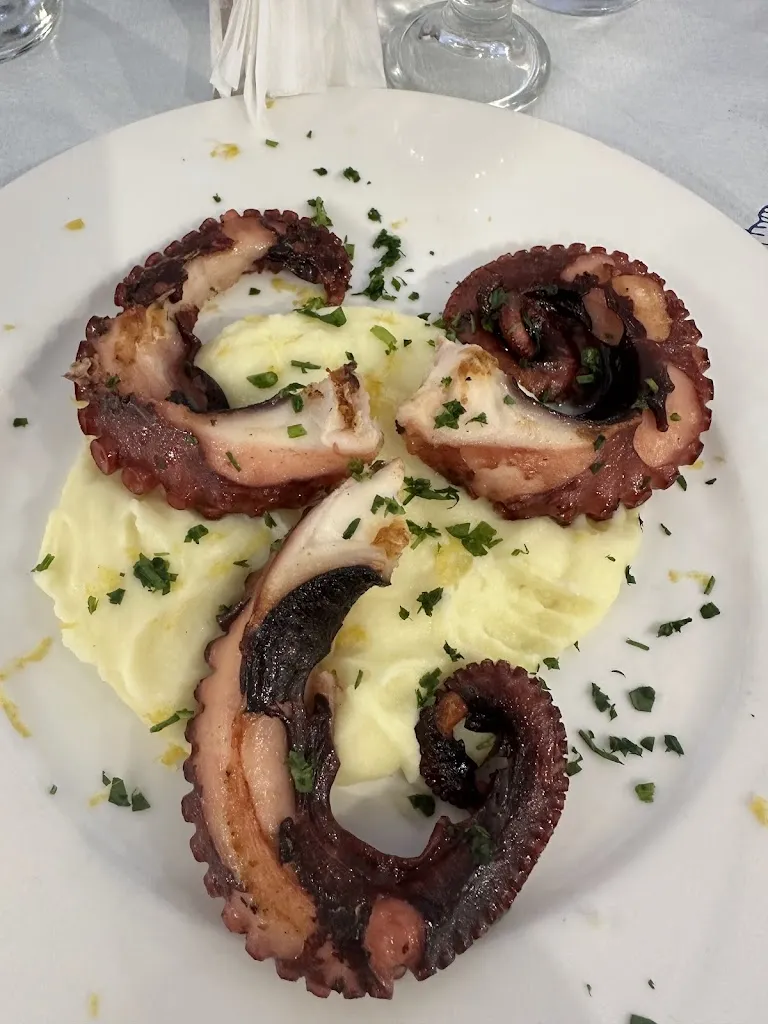 Bogdan Materniuc_Fish Food and fond of the Sea_Briatico_review