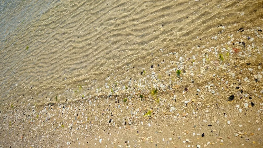 Ada Mezzapesa_Agriturismo Frontemare_Cologna Spiaggia_review