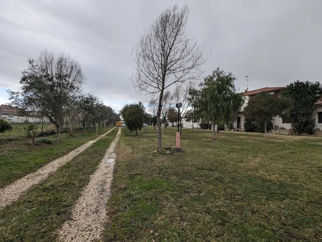 Maya_Area Sosta Camper Romeo - Roseto degli Abruzzi_Cologna Spiaggia_recensione