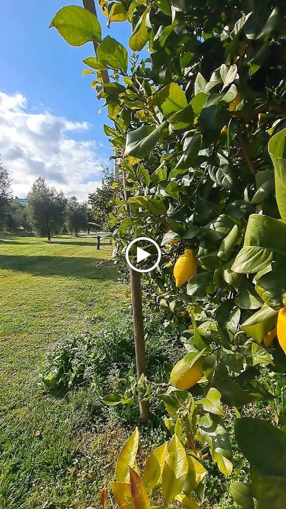 Area Sosta Camper Romeo - Roseto degli Abruzzi_Cologna Spiaggia_slider_image_2