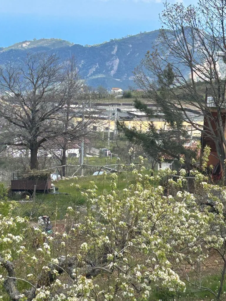 Simone Salerno_Trattoria pizzeria tenuta il gaglioppo_Caloppezzati_review