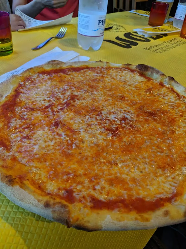 Anthony Palumbi_Wolf_Alba Adriatica_review