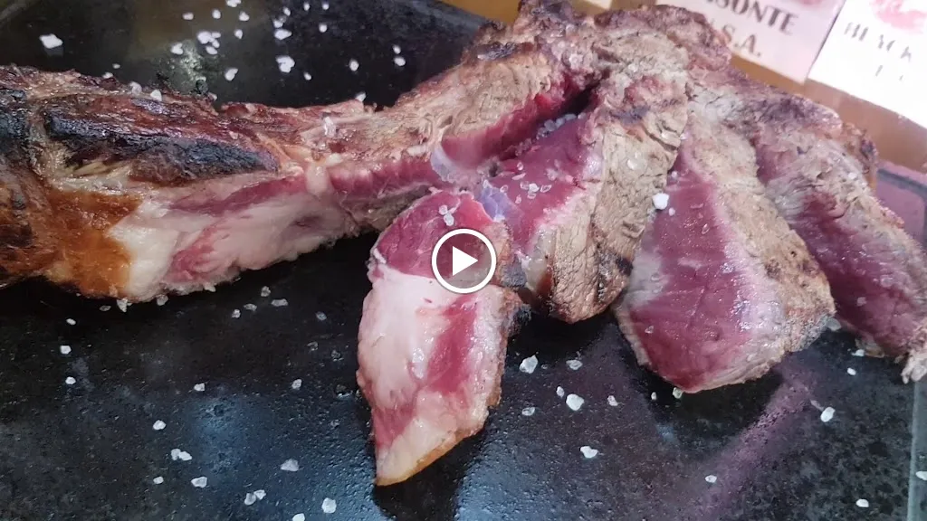 Wolf_Alba Adriatica_slider_image_2