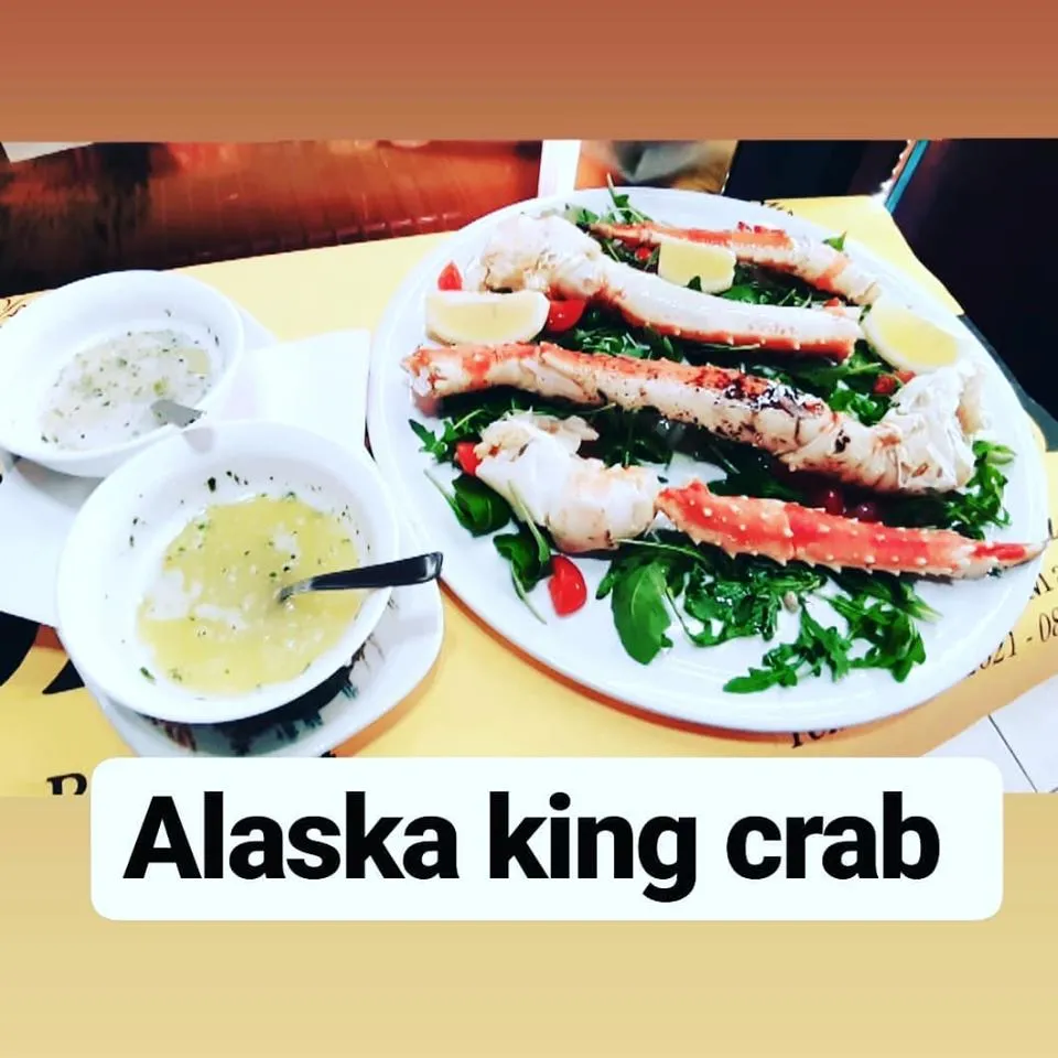 Wolf_Alba Adriatica_slider_image_3