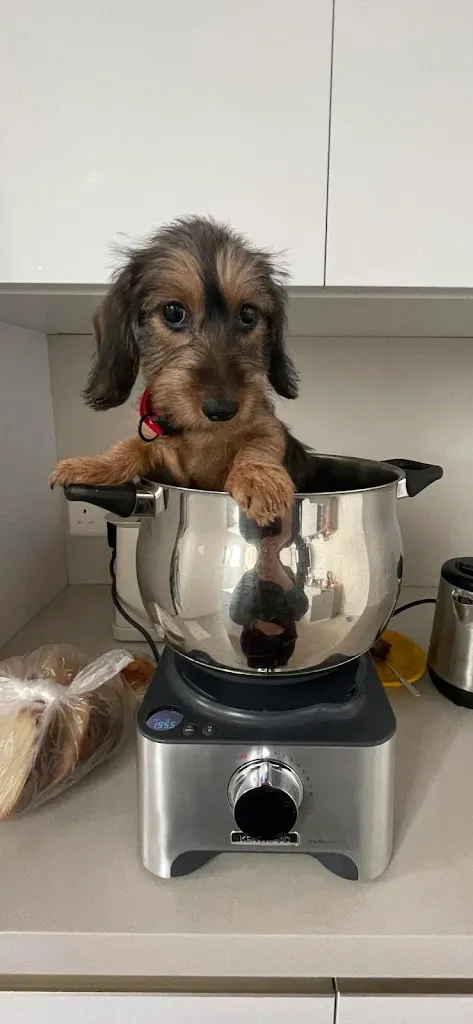 domingo _19_Pepega restaurant_Capo Rizzuto_review