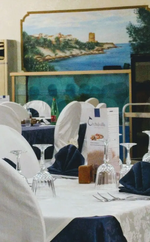 Stefan Reppe_Orchidea Blu_Capo Rizzuto_review