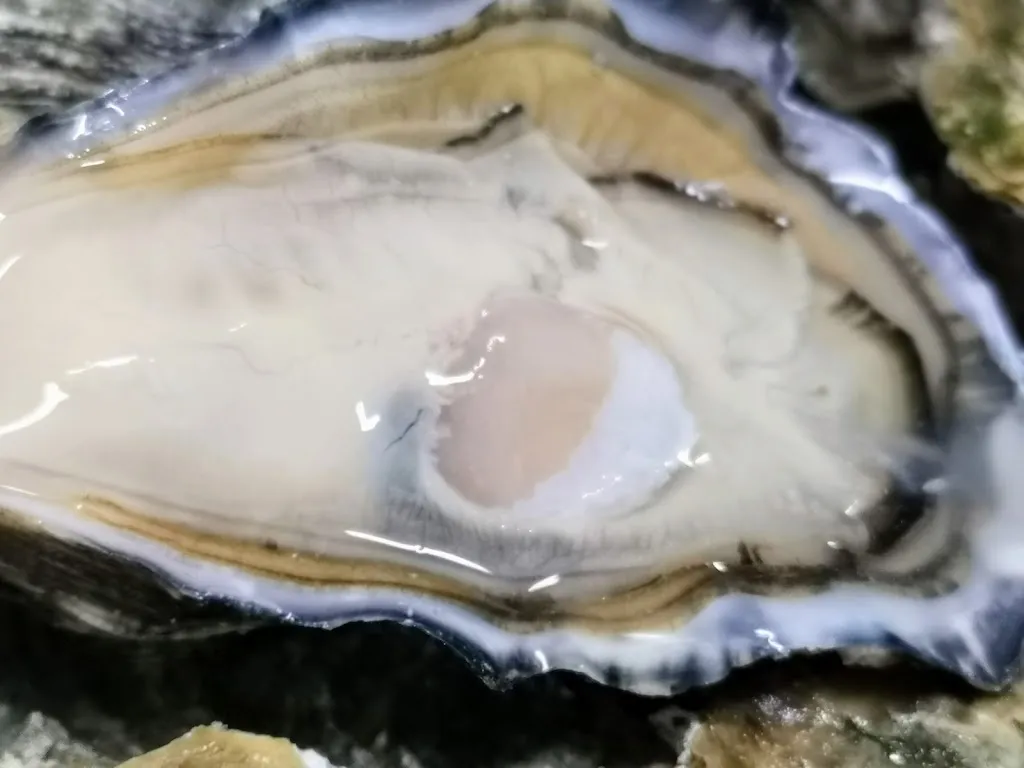 Menu_Ruris Ristorante_Capo Rizzuto_immagine_3