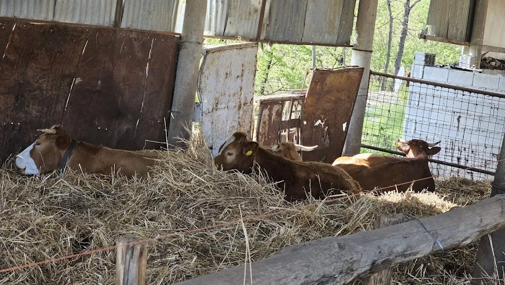 Adriana Mascia_Agriturismo La Valle Delle Querce_Carpanzano_review