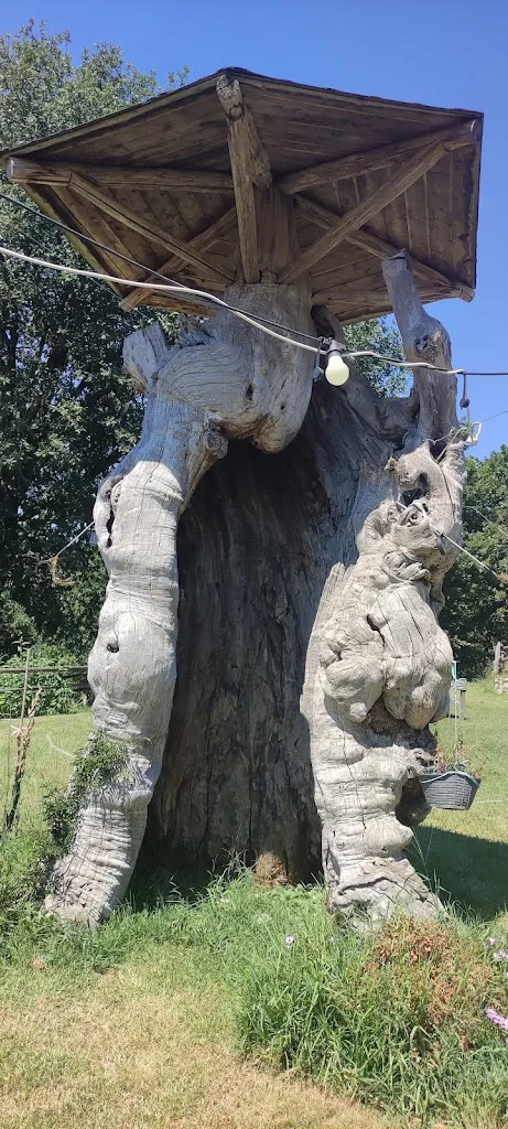 federico gallo_Agriturismo La Valle Delle Querce_Carpanzano_review