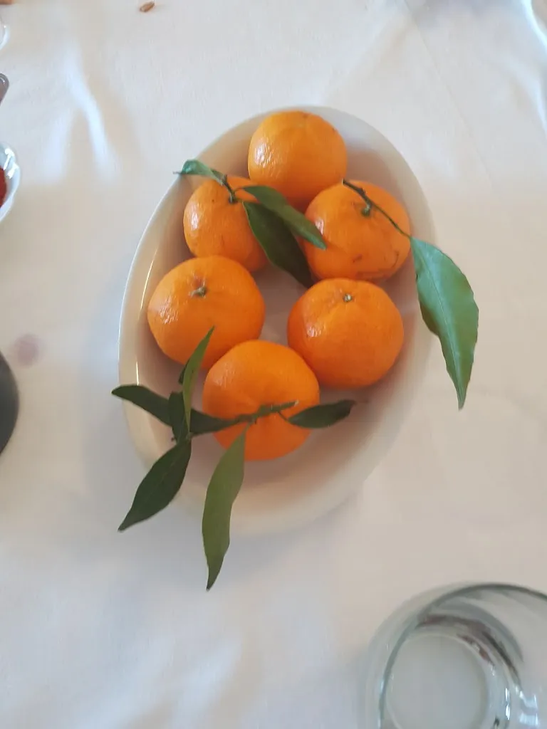 Menu_Agriturismo Ferrari_Carpanzano_immagine_8