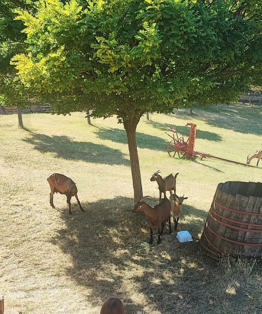 Monia Borgna_Agriturismo Ferrari_Carpanzano_recensione