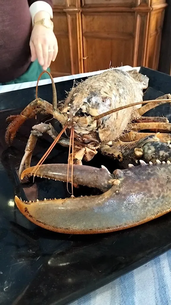 Ristorante Bora Bora_Colleranesco_slider_image_2