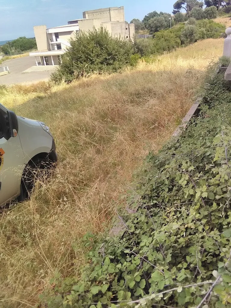 AZIENDA AGRICOLA DONNAROSA_Cariati_slider_image_3