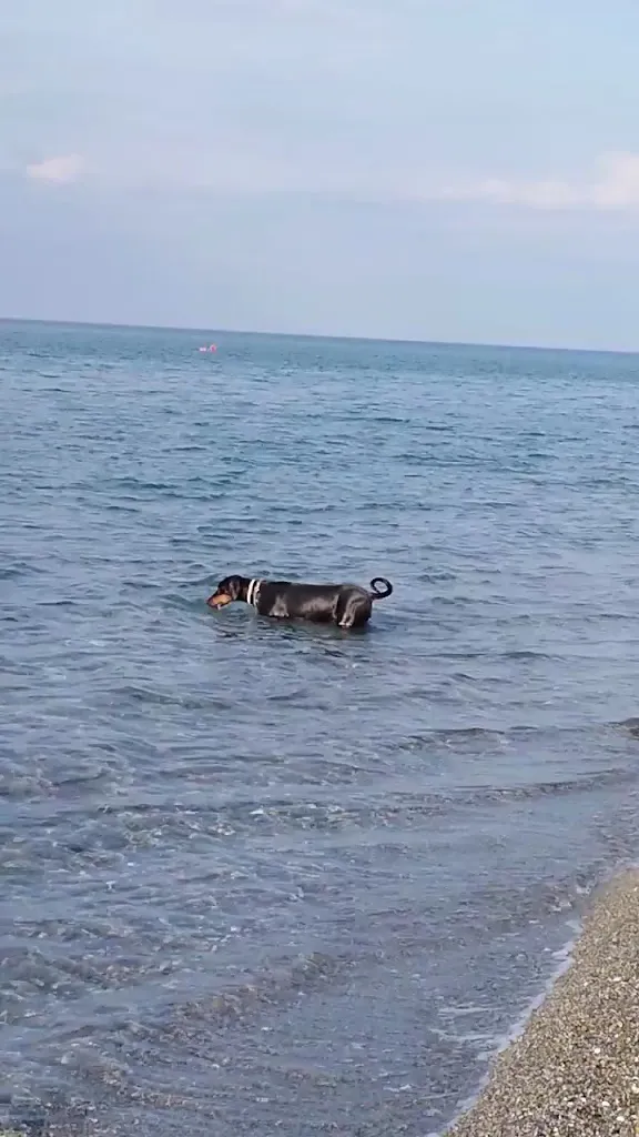 La Capannina Beach_Cariati_slider_image_2