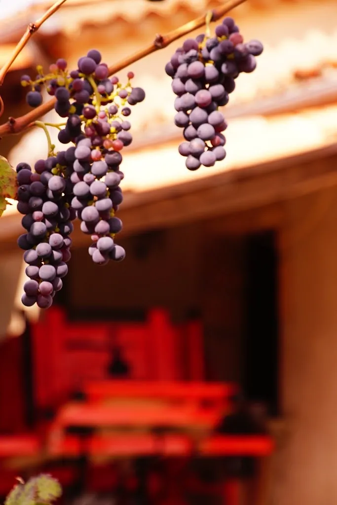 Menu_Agriturismo Piano di Pero_Carolei_image_7