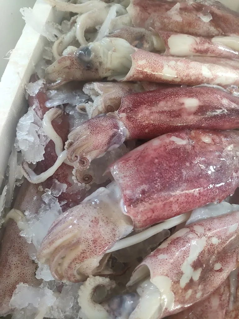 Menu_Ristorante Pizzeria Volo Rosso_Carolei_image_2