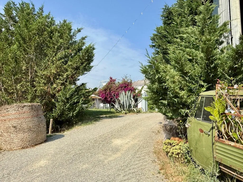 Debora Del Sonno_Masseria Iole_Castelsilano_review