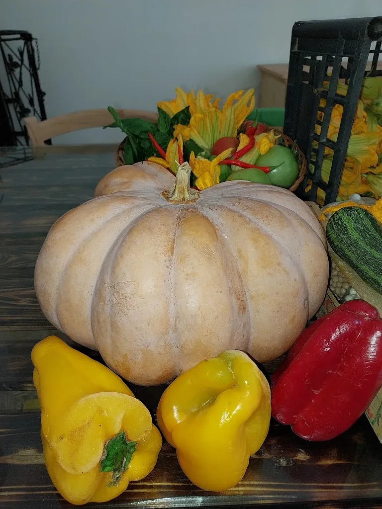 Menu_Home Restaurant Civico 111 da Santo_Castelsilano_immagine_2