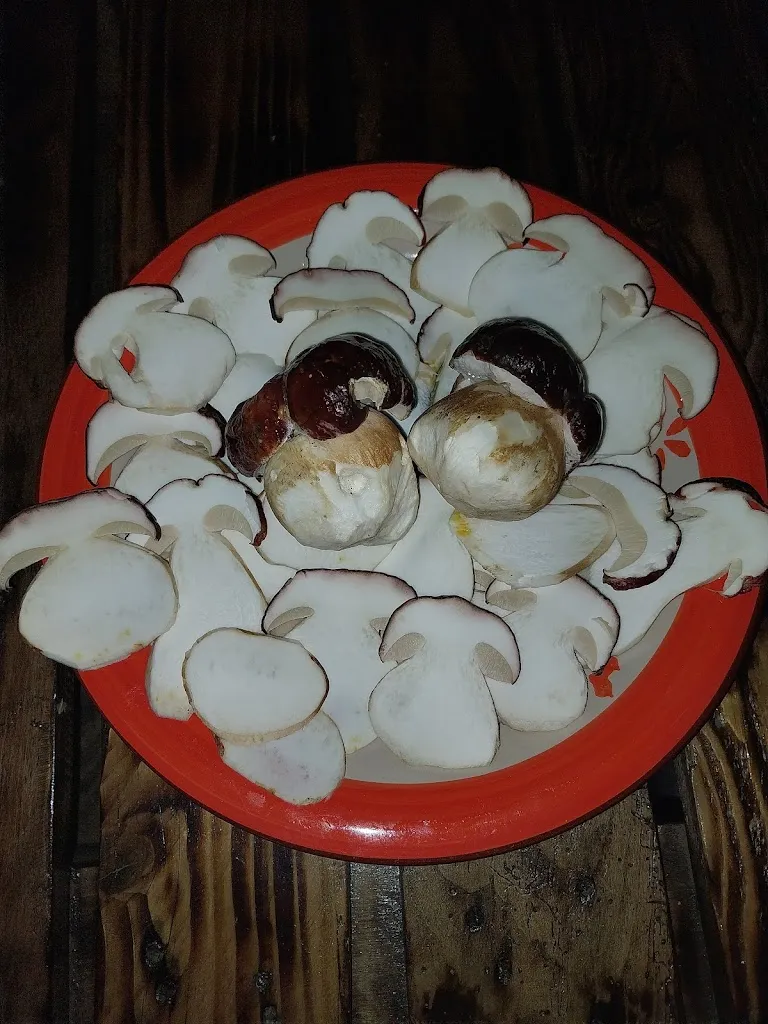 Home Restaurant Civico 111 da Santo_Castelsilano_slider_image_3