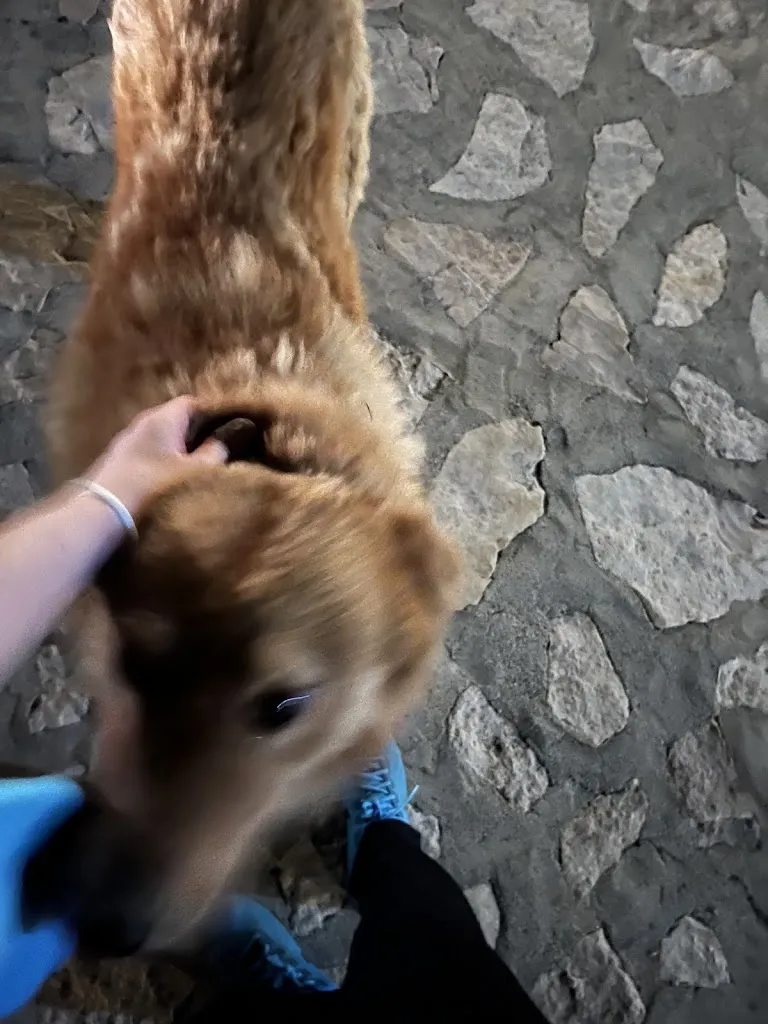 Ema Mi_Tenuta Garofalo il cugnale_Castelsilano_review