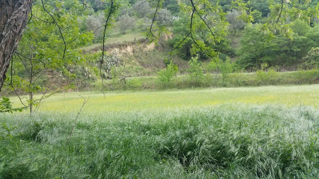 Sapore Italiano_Castiglione Cosentino_slider_image_1