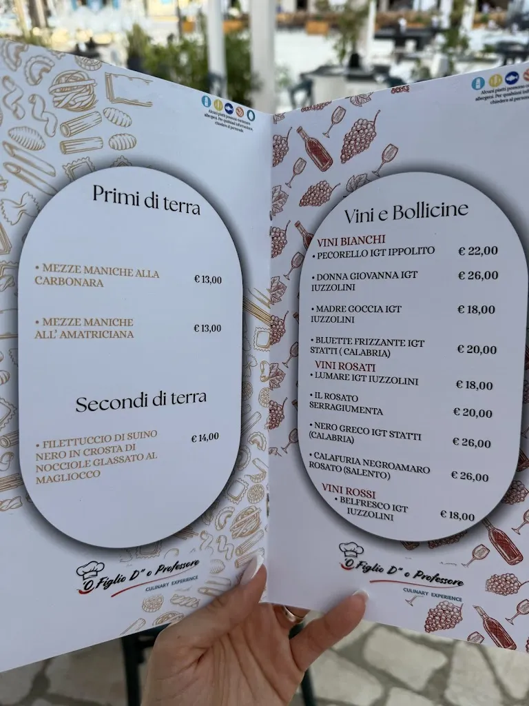 O Figlio D“o Professore_Cassano Allo Ionio_menu_image_1