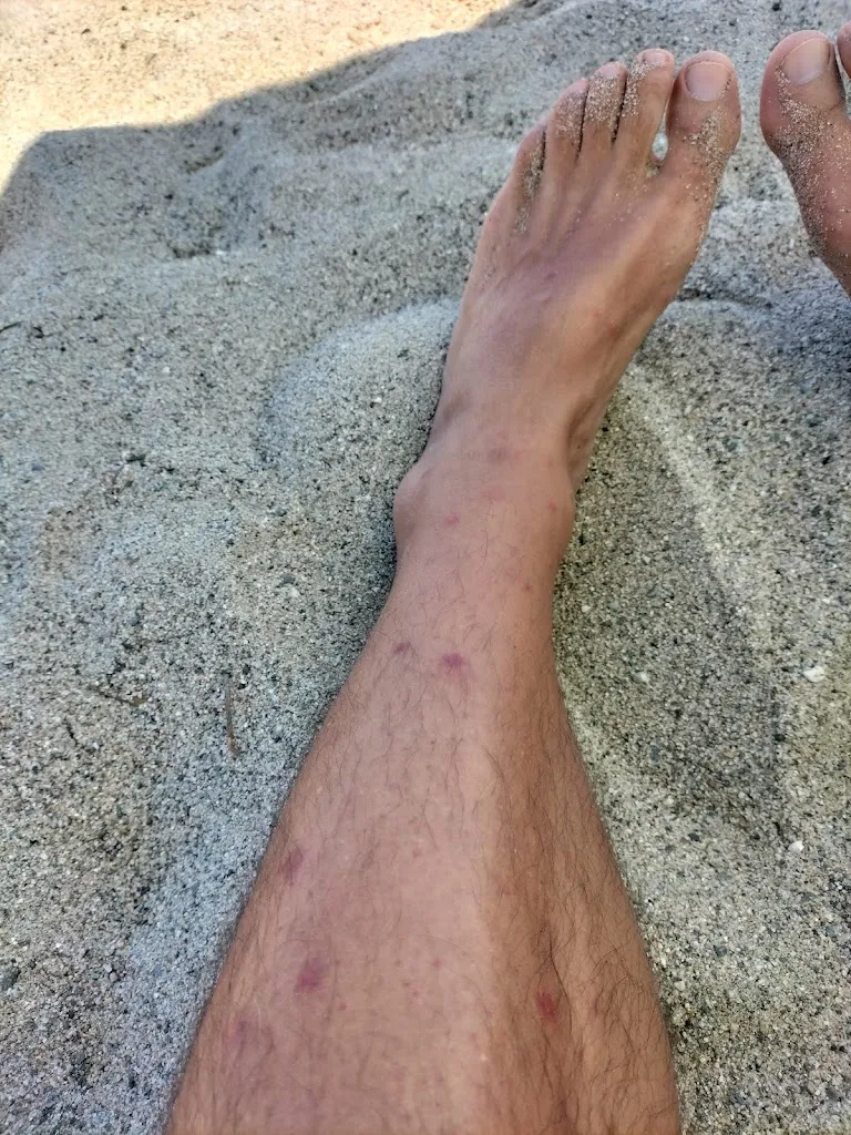 Santo Annino_Lido Storie Di Mare_Cassano Allo Ionio_review