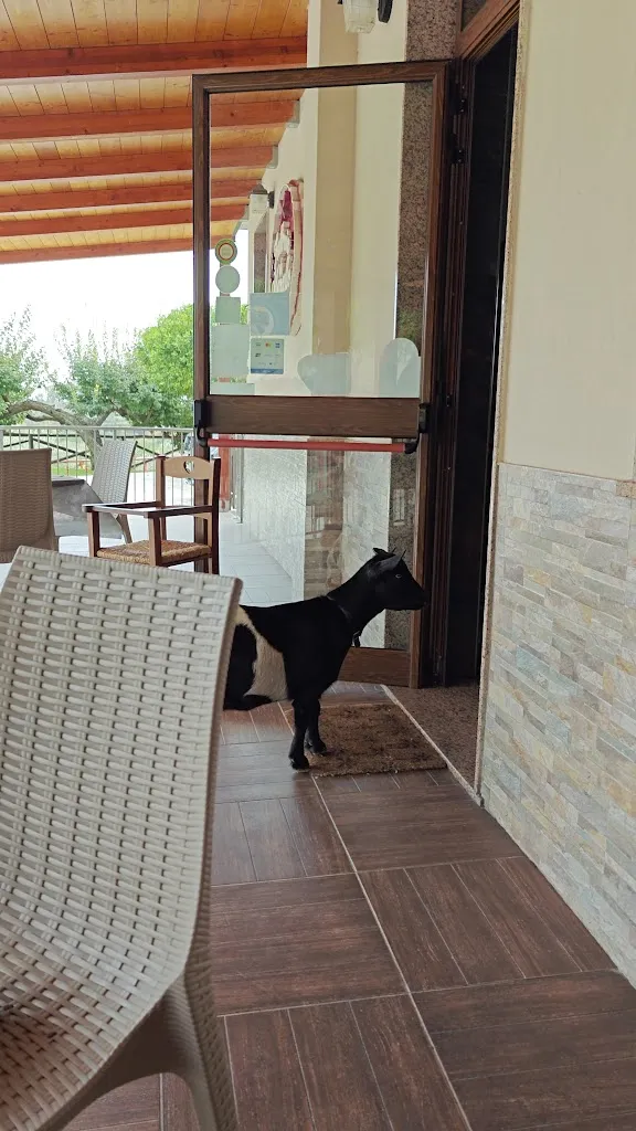 Paul Ventrice_Trattoria da Marcello_Caulonia_review