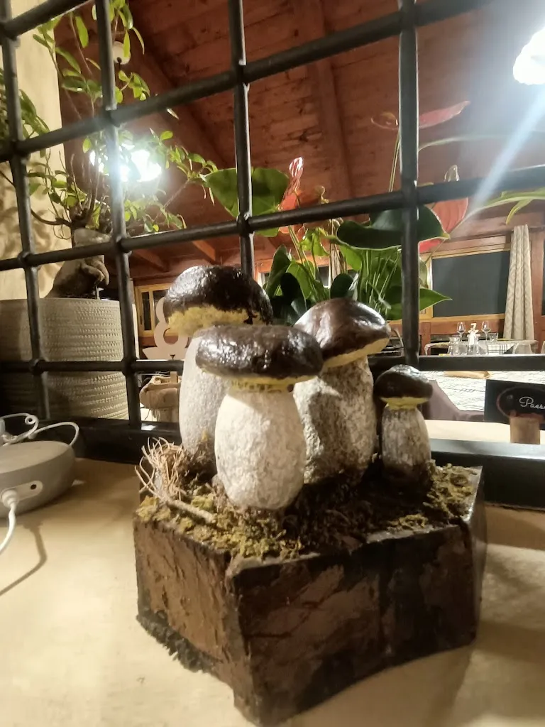 Natasha Ubbriaco_Enosteria Il Paese.🍇🥓🍖🍷_Celico_recensione