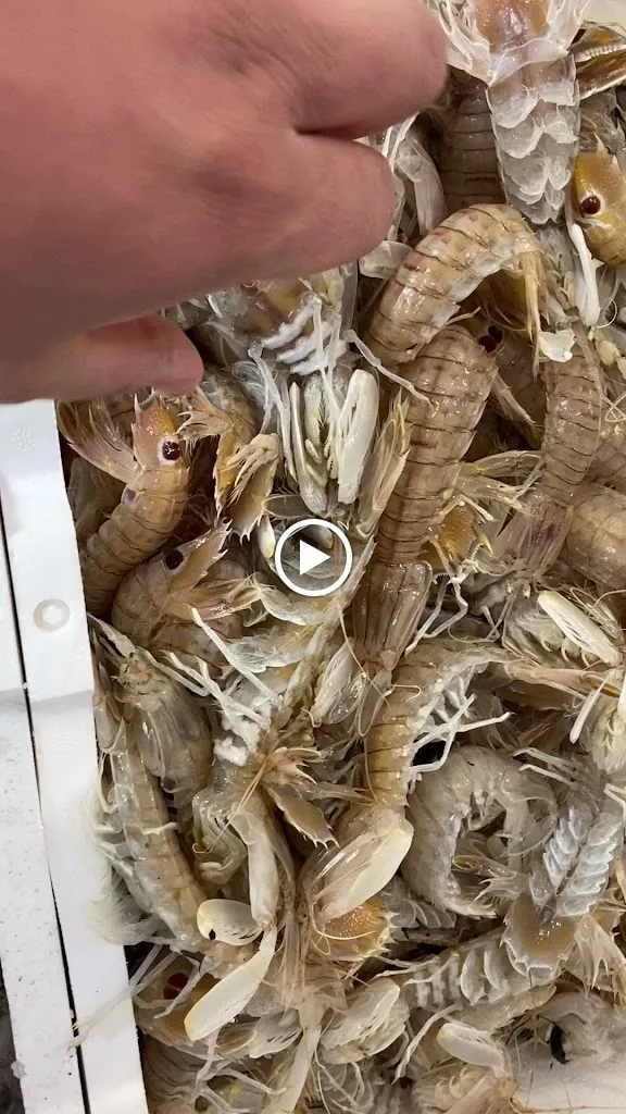 Home restaurant BELMONTE_Cavoni-Ginestreto_slider_image_2